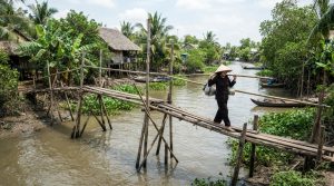 Traditional wooden suspension bridge over a canal in the Mekong Delta