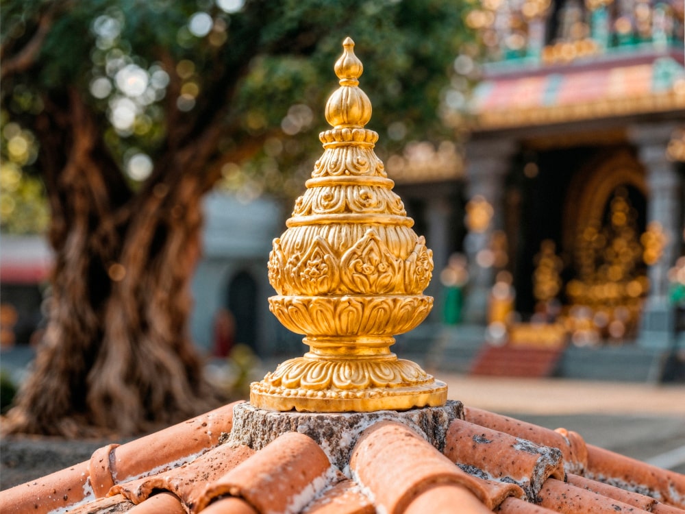 viaje receptivo a laos por omd